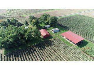 Barn in Van Buren County, Michigan - LAND AUCTION - 300+/- ACRES SPECIALTY CROP - GRAPES AND HOPS - OFFERED IN 8 TRACTS IN VAN BUREN COUNTY, MICHIGAN
